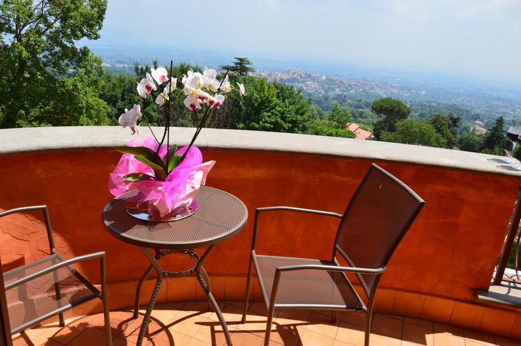 Agriturismo Il Falco Velletri Quarto foto